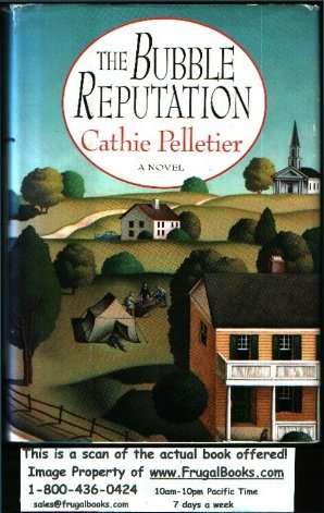 The Bubble Reputation (Hardcover)