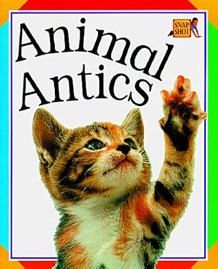 Animal Antics