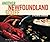 Another Newfoundland Scoff: A Pictorial Cookbook