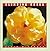 Climbing Roses (Rose Garden Series)