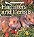 Hamsters and Gerbils (Perfect Pets)