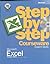 Excel Version 2002 Step-by-...