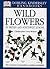 Wildflowers of Britain and Northwest Europe by Christopher Grey-Wilson