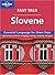 Fast Talk Slovene: Essential Language for Short Trips (Lonely Planet)