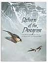 Return of the Peregrine