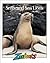 Seals and Sea Lions (Zoobooks)