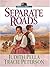 Separate Roads (Ribbons West, #2)