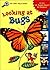 Looking at Bugs