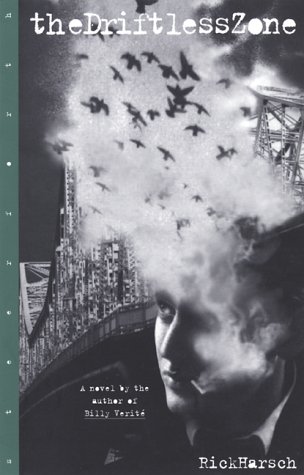 The Driftless Zone: Or, A Novel Concerning The Selective Outmigration From Small Cities (Paperback)