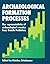 Archaeological Formation Processes: The Representativity of Archaeological Remains from Danish Prehistory (Studies in Scandinavian Prehistory and Early History)