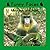 Funny Faces: Monkeys and Apes (Little Nature Books)