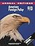 American Foreign Policy 99/00