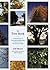 The Tree Book: A Practical Guide to Selecting and Maintaining the Best Trees for Your Yard and Garden
