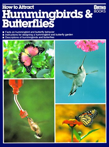 How to Attract Hummingbirds & Butterflies (Paperback)