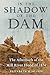 In the Shadow of the Dam: The Aftermath of the Mill River Flood of 1874