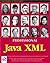 Professional Java XML