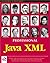 Professional Java XML