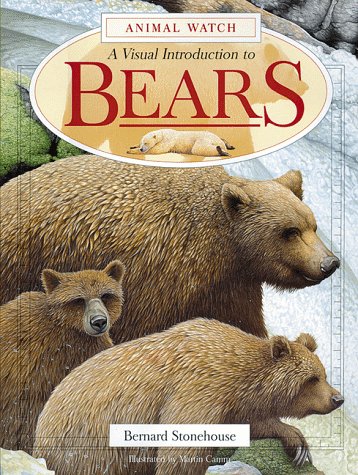 A Visual Introduction to Bears (Animal Watch Series)