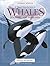 A Visual Introduction to Whales, Dolphins and Porpoises by Bernard Stonehouse