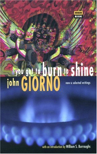 You Got to Burn to Shine: New and Selected Writings (High Risk Books)
