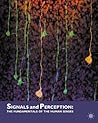 Signals and Perception: The Fundamentals of Human Sensation