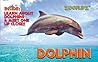 Animal Flipbooks (Dolphin)