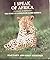 I Speak of Africa: The Story of Londolozi Game Reserve 1926-1996