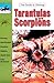 Tarantulas and Scorpions