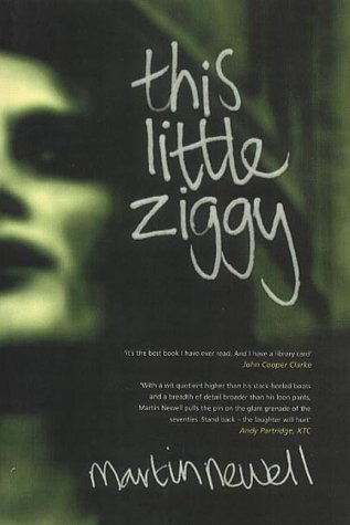 This Little Ziggy: Martin Newell (Paperback)