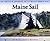 Maine Sail