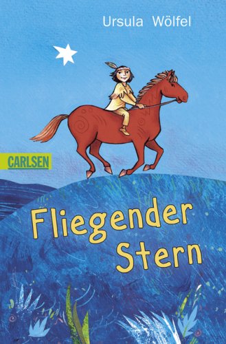 Fliegender Stern (Paperback)