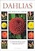 Dahlias by Ted Collins