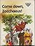 Come Down, Zacchaeus! (Lion Story Bible)