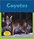 Coyotes (What's Awake?)