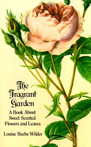 The Fragrant Garden: A Book About Sweet Scented Flowers and Leaves (Paperback)