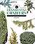 Identifying Ornamental Coni...