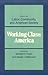 Working-Class America: Essa...