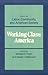 Working-Class America: Essays on Labor, Community, and American Society (Working Class in American History)