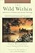 The Wild Within by Paul Rezendes