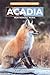 Acadia National Park: Wildlife Watcher's Guide