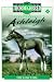 The Lost Foal (Thoroughbred: Ashleigh, #8)
