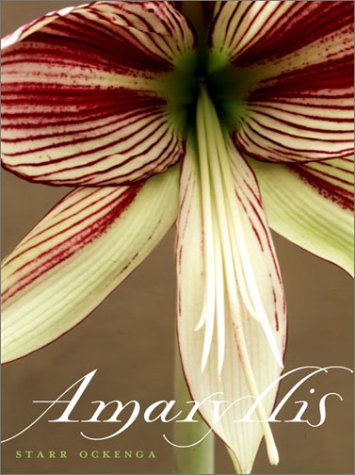 Amaryllis (Hardcover)