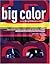Big Color: Maximize The Potential Of Your Design Through . . .