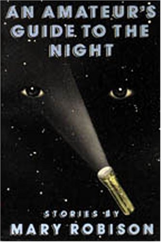 An Amateur's Guide to the Night (Paperback)