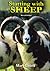 Starting With Sheep