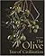 The Olive, Tree of Civiliza...