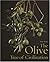 The Olive, Tree of Civilization
