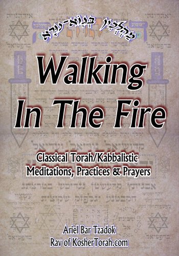 Walking In The Fire: Classical Torah/Kabbalistic Meditations, Practices & Prayers (Hardcover)