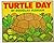 Turtle Day
