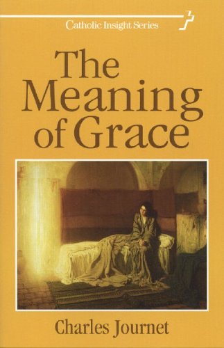 The Meaning of Grace (Paperback)